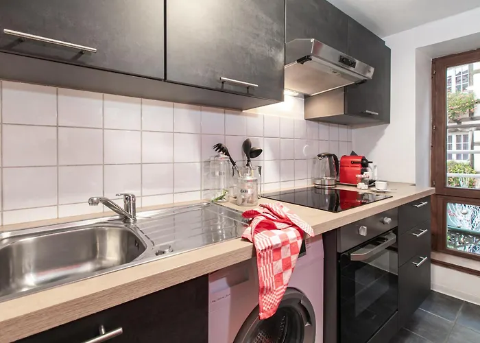 Centre - L'évidence - Parking Appartamento Colmar